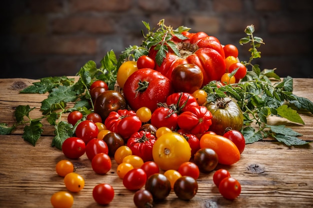 Colorful organic tomatoes