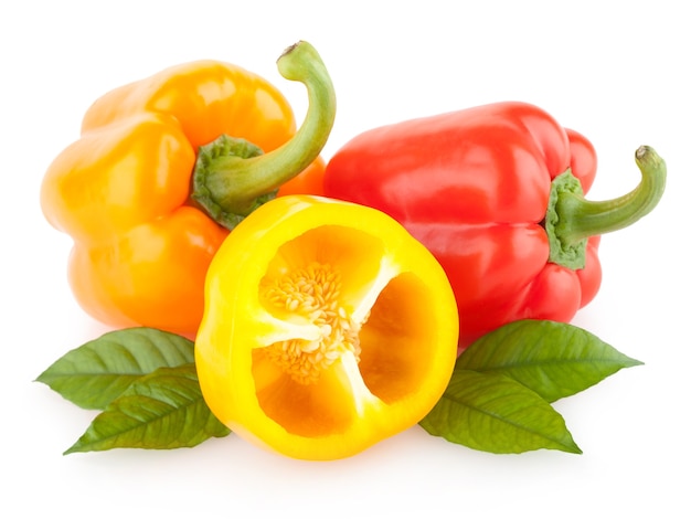 Colorful paprika peppers isolated on white background