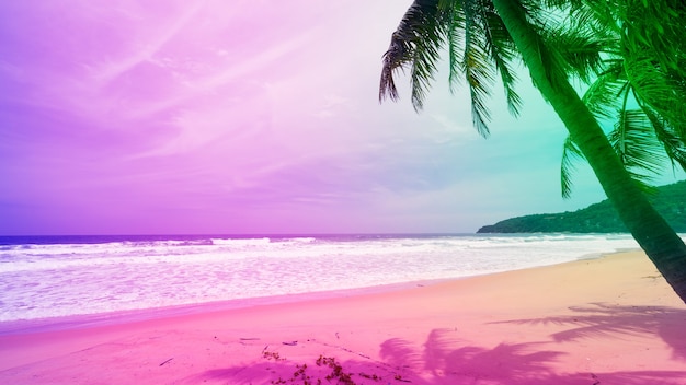 Photo colorful pastel color of silhouette palm trees on tropical island in summer sunny day.