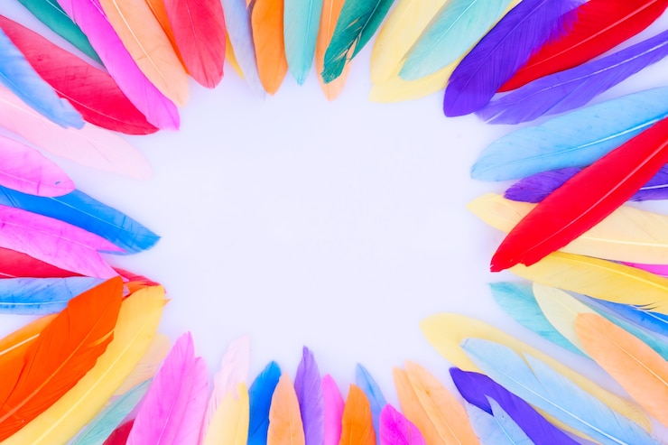 फोटो colorful pattern made of feathers. minimal boho style color concept, natural flat lay backgrund frame