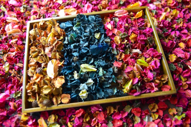 Colorful petal of dried flowers potpourri background.