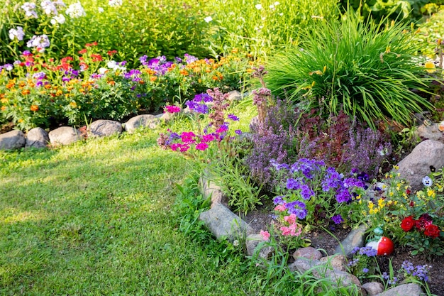 화창한 날 화단에 화려한 플록스 코스메아 꽃꽃무늬 벽지화려한 꽃의 공원 배열밝은 여름화초 재배 개념