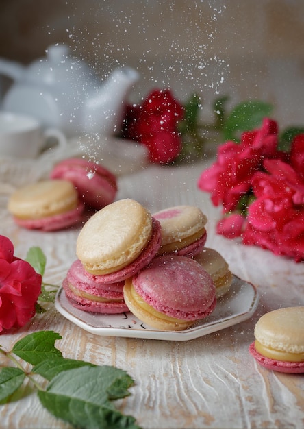 Colorful pink and yellow macaroons