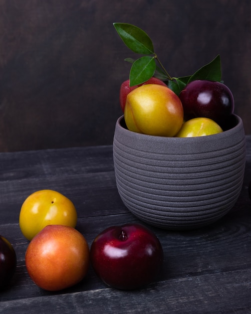 Colorful plums fruit in pot and plate on the black space isolated