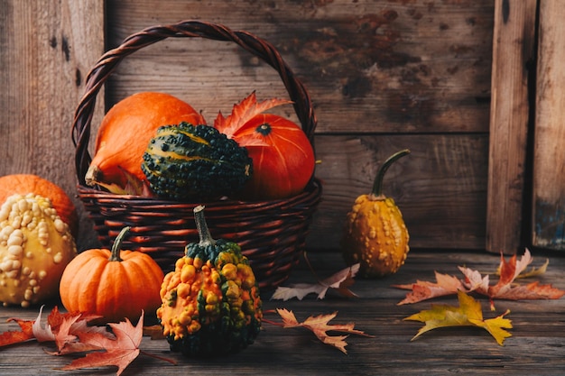 Colorful pumpkins and fall leaves on wooden background for Halloween and Thanksgiving day