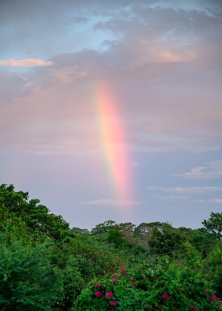 Colorful rainbow in the sky at evening