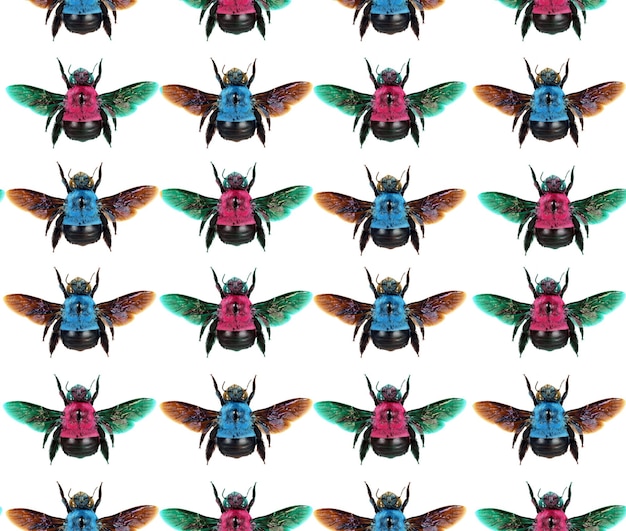 Colorful red blue bumblebee background, seamless exotic pattern, nature concept, entomology insects