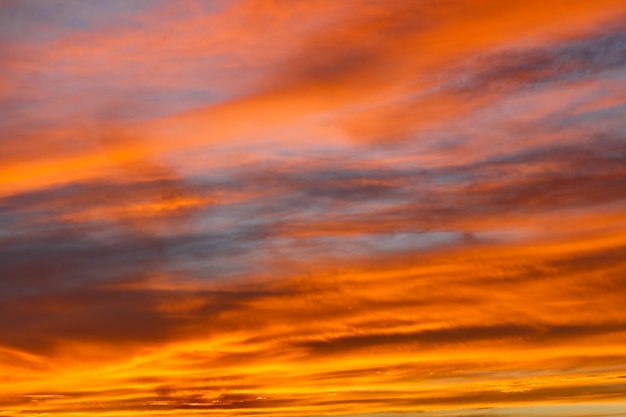 Colorato tramonto rosso sul deserto del sahara