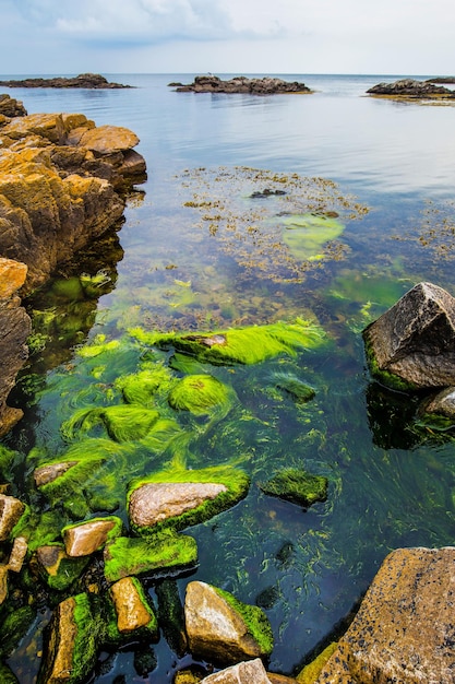Colorful rock formation in the sea around picturesque small town Gudhjem in Bornholm, Denmark