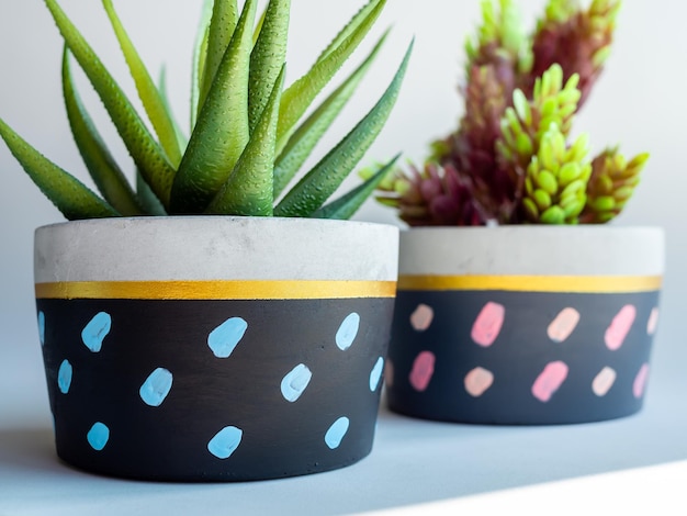 Colorful round geometric planters Painted concrete pots for home decoration