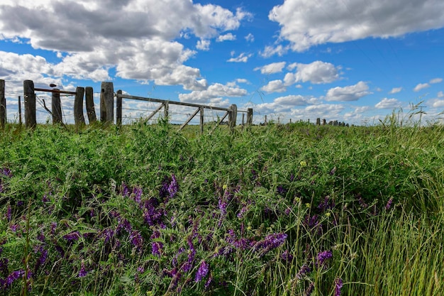 Colorful rural landscape La Pampa Province Patagonia Argentina