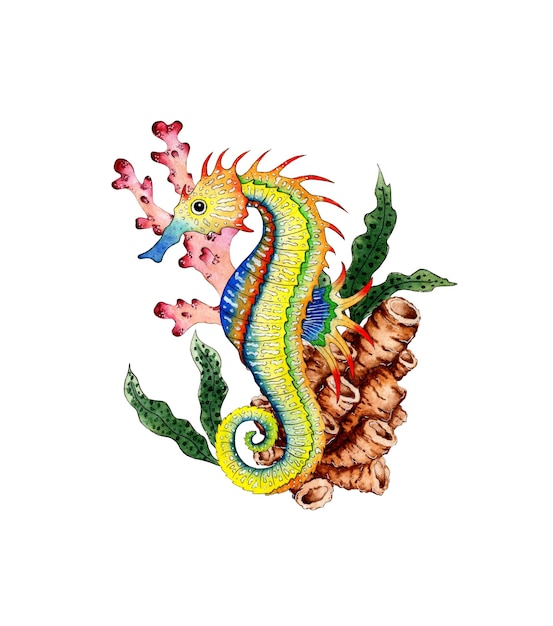 Colorful seahorse and corals watercolor