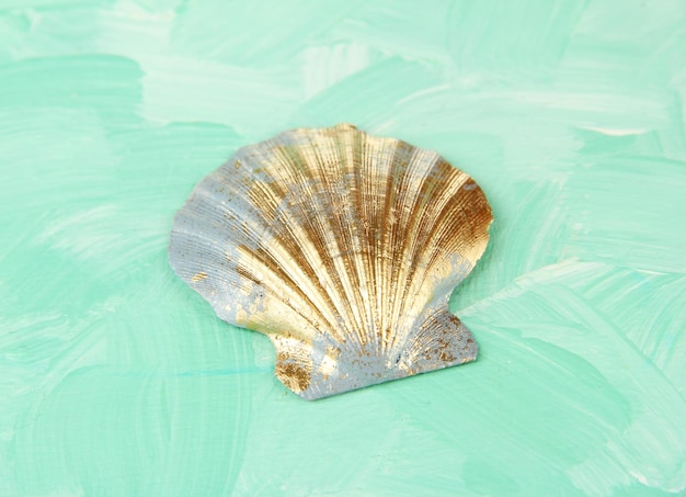 Colorful seashell on color wooden background