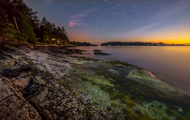 Colorful Shore at Night with Stars