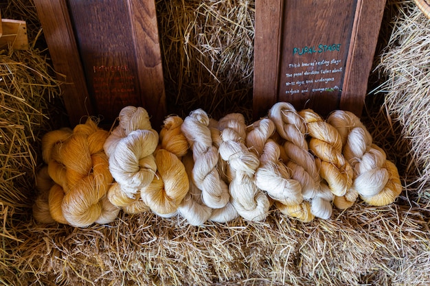 Colorful silk made of natural protein fiber