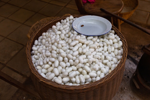 写真 天然タンパク質繊維で作られたカラフルなシルク