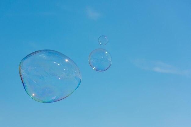 Colorful soap bubbles on a bright blue sky background