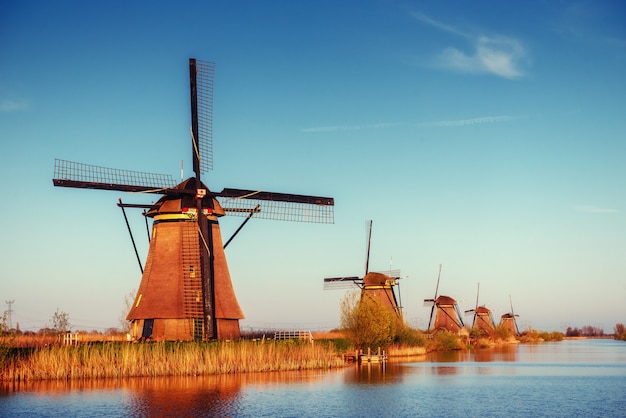 Colorful spring day with traditional Dutch windmills canal 