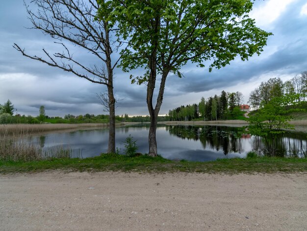 Colorful spring landscape with beautiful sky clouds and tree reflections in the water