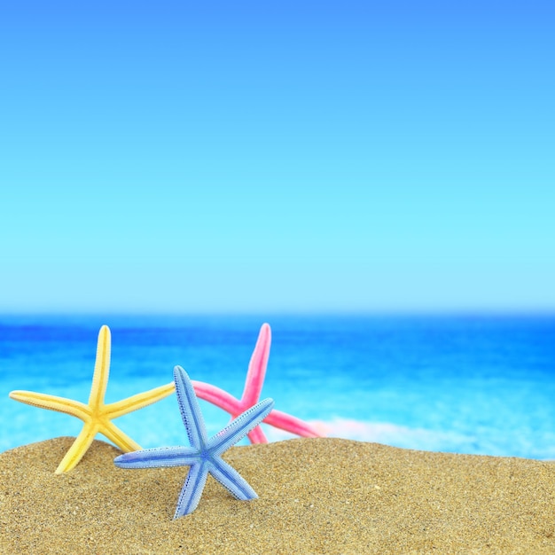 Colorful starfishes on the beach in front of a blue horizon