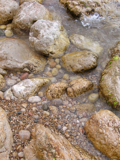 写真 水の中のカラフルな石