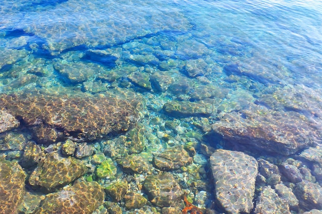 Разноцветные камни и галька видны сквозь прозрачную морскую воду.