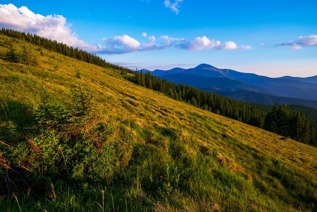 Paesaggio estivo colorato