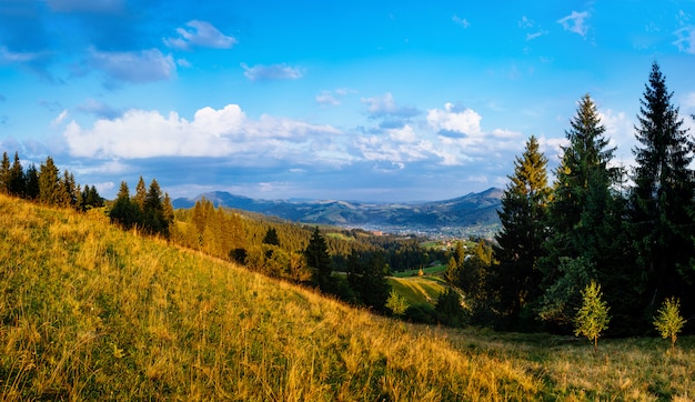 Paesaggio estivo colorato