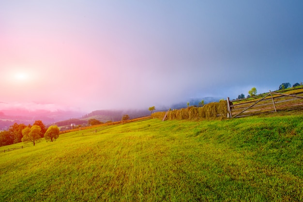 カラフルな夏の風景