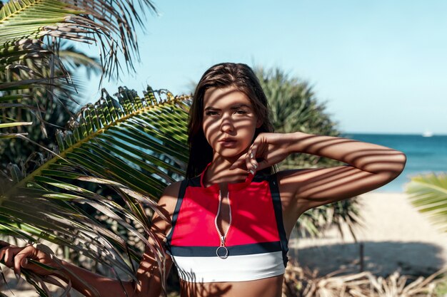 Ritratto variopinto di estate del bikini da portare di modo della giovane donna attraente del brunette e che propone sulla spiaggia. ombra dall'albero di palma sul viso e sul corpo