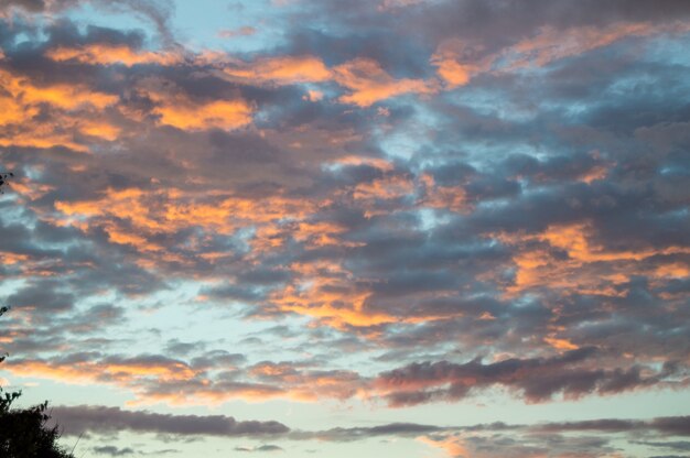 劇的な青とピンクの雲と雨の後のカラフルな夏の夕日