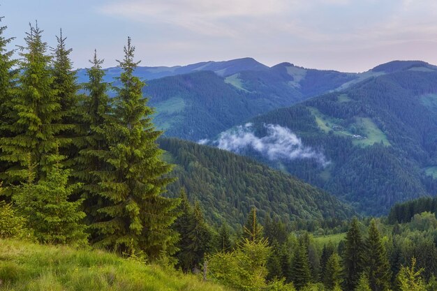 Colorful summer sunset in mountains