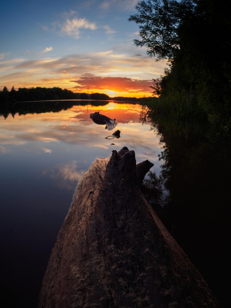 Tramonto colorato sul tronco d'albero del fiume nel fuoco selettivo dell'acqua