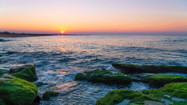 Colorful sunset on sea shore with green algae, splashing waves