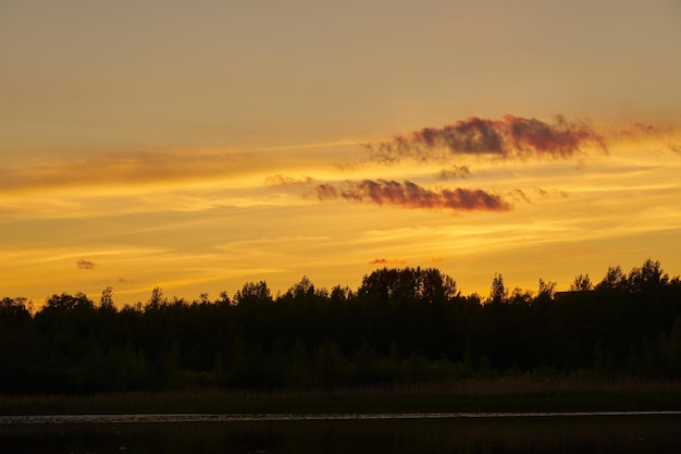 A colorful sunset over the silhouettes of trees