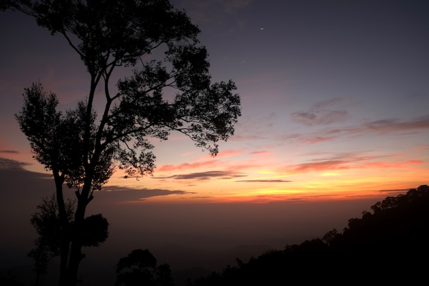 Colorful sunset sky over the forest in Nan, Thailand.