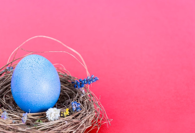 Colorful surface with Easter eggs on red surface