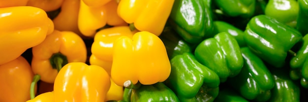 Colorful sweet bell peppers background