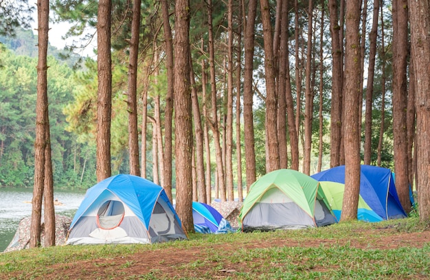 휴일에 높은 산에 숲에서 화려한 텐트