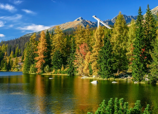 Colorful trees and lake tarn Strbske pleso Slovakia