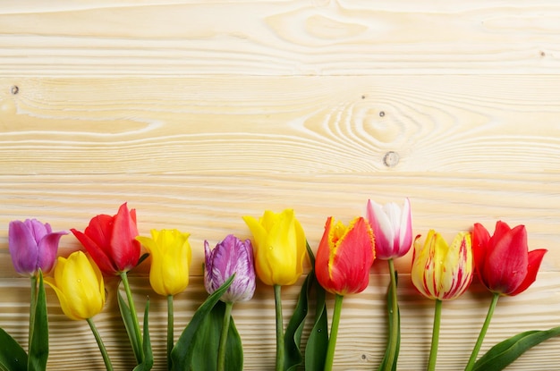 Colorful tulip flowers on wooden table background with space for text