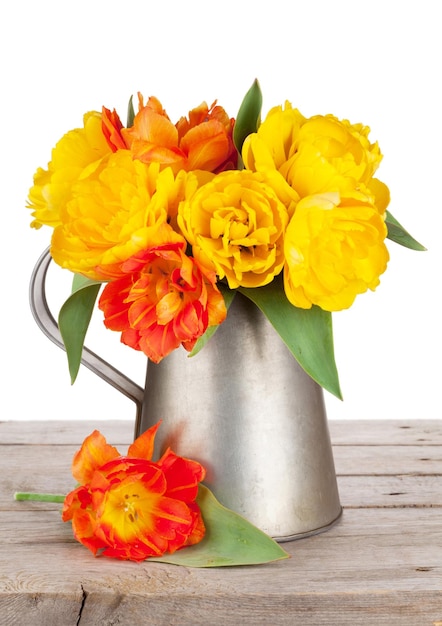 Colorful tulips bouquet in watering can