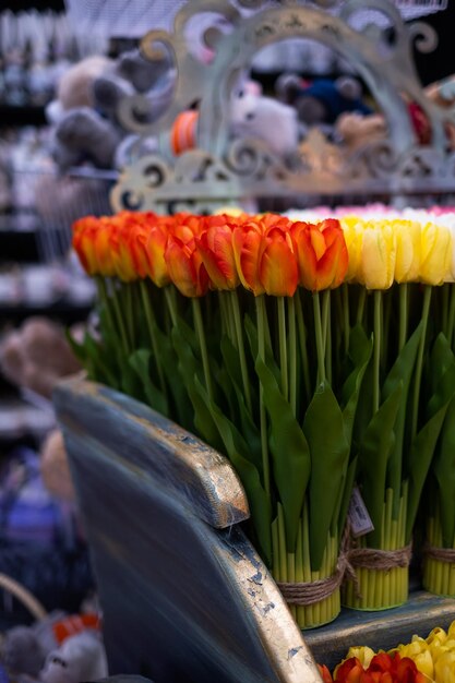 Colorful tulips in a field on a white background