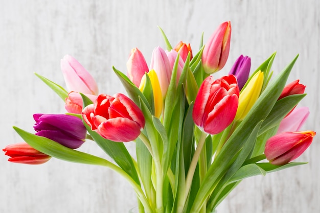 Colorful tulips on the grey surface