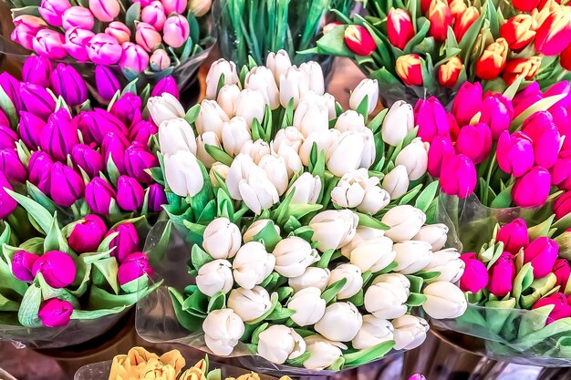 Красочные тюльпаны на рынке для приветственного баннера