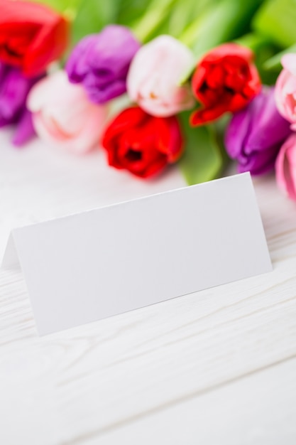 Colorful tulips and white card 