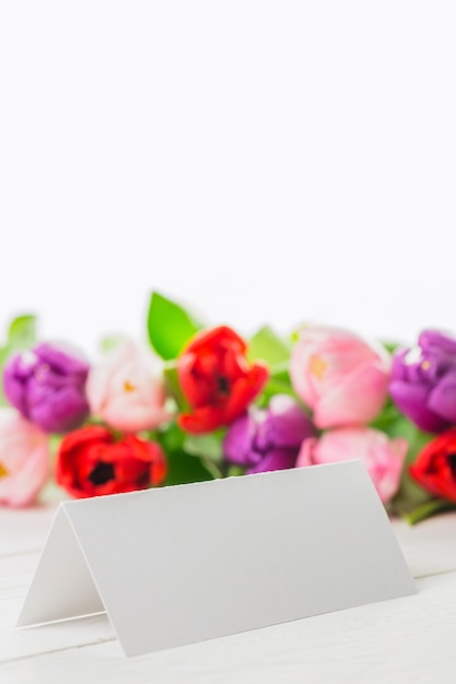 Colorful tulips and white card 