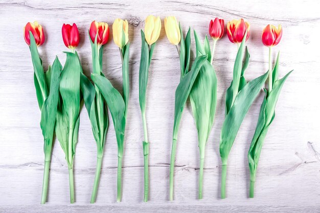 Colorful tulips on a wooden table for valentine's day