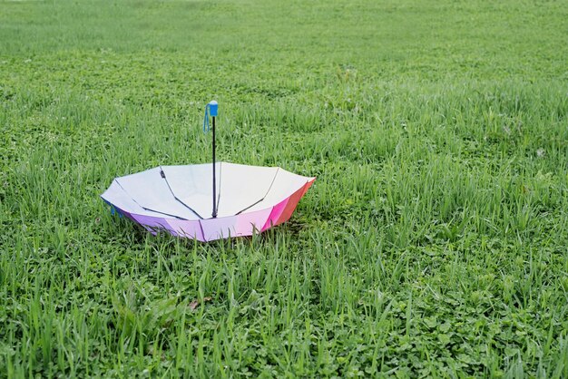잔디에 있는 다채로운 우산