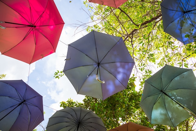 Colorful umbrellas decoration hang on the tree with sky background